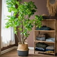 thumbnail image 4 of Artificial Apple Banyan Leaf Tree, 4 of 10