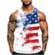 thumbnail image 1 of Mens Independencia Día de la Impresión Cuello Redondo Regular Casual Deportes Tanque Blusas, 1 of 5