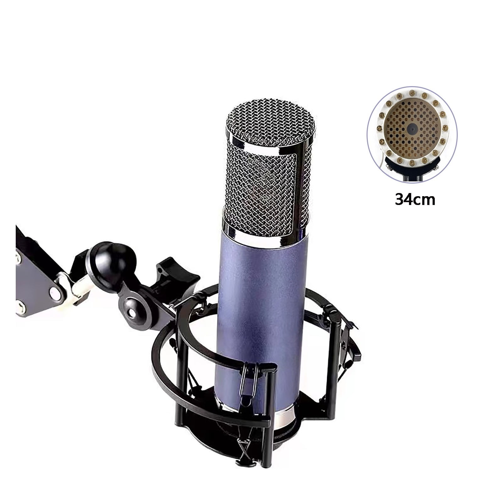 Professional Audio 2 In 2 Out USB Audio Interface Recording Sound Card With Large Diaphragm Recording Mic