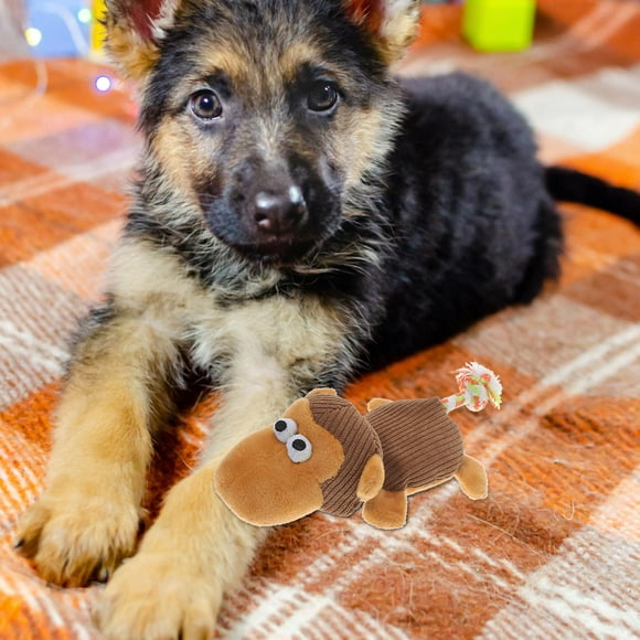 Puppy Chew Toys Puppy Teething Toys Christmas Toy Dogs Dog Teething Toys Dog Sound Toys