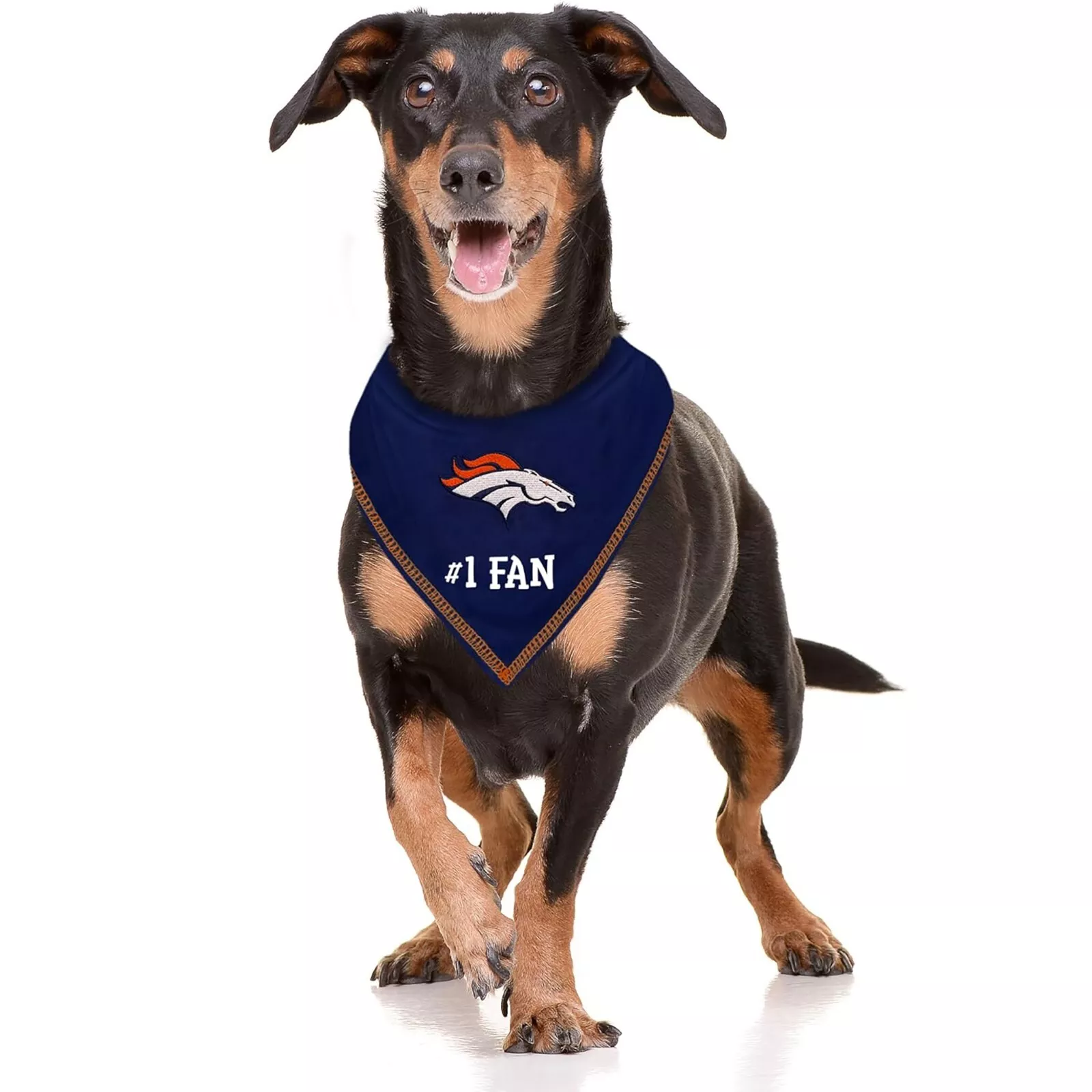 Pets First NFL Personalized Tie Bandana for Dogs & Cats Customizable Dog Bandana