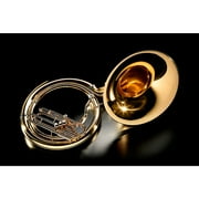Allora ASP-450 BBb Sousaphone Lacquer