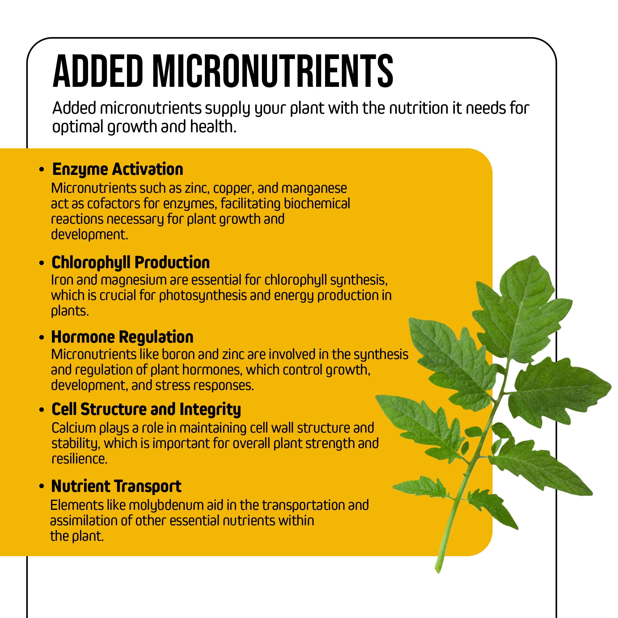 Jack’s Nutrients 15-0-0 Cal-Trate Water-Soluble Fertilizer, 25lbs - A Boost of Calcium and Micronutrients for Strong Leaf Growth