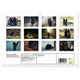 thumbnail image 2 of Black is beautiful! The lacquer black old German shepherd dog (Monthly Wall Calendar 2026 11.7 x 16.5 (open)), CALVENDO 14 Month Calendar, 2 of 9