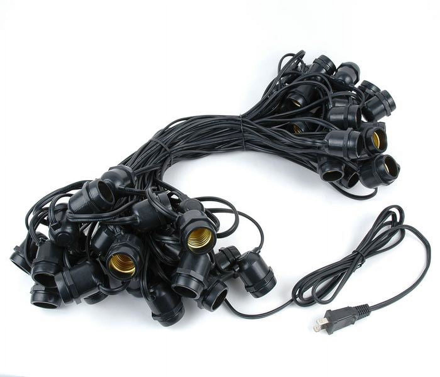 Novelty Lights Clear Incandescent Edison Outdoor String Lights with 50 Bulbs S14 Vintage Bulbs Black Wire 100 Feet