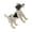5, variant on Playful Sparkling Dog Brooch Lovely Pin Stylish Party Badge Alloy Texture for Party Dress Up and Present Giving