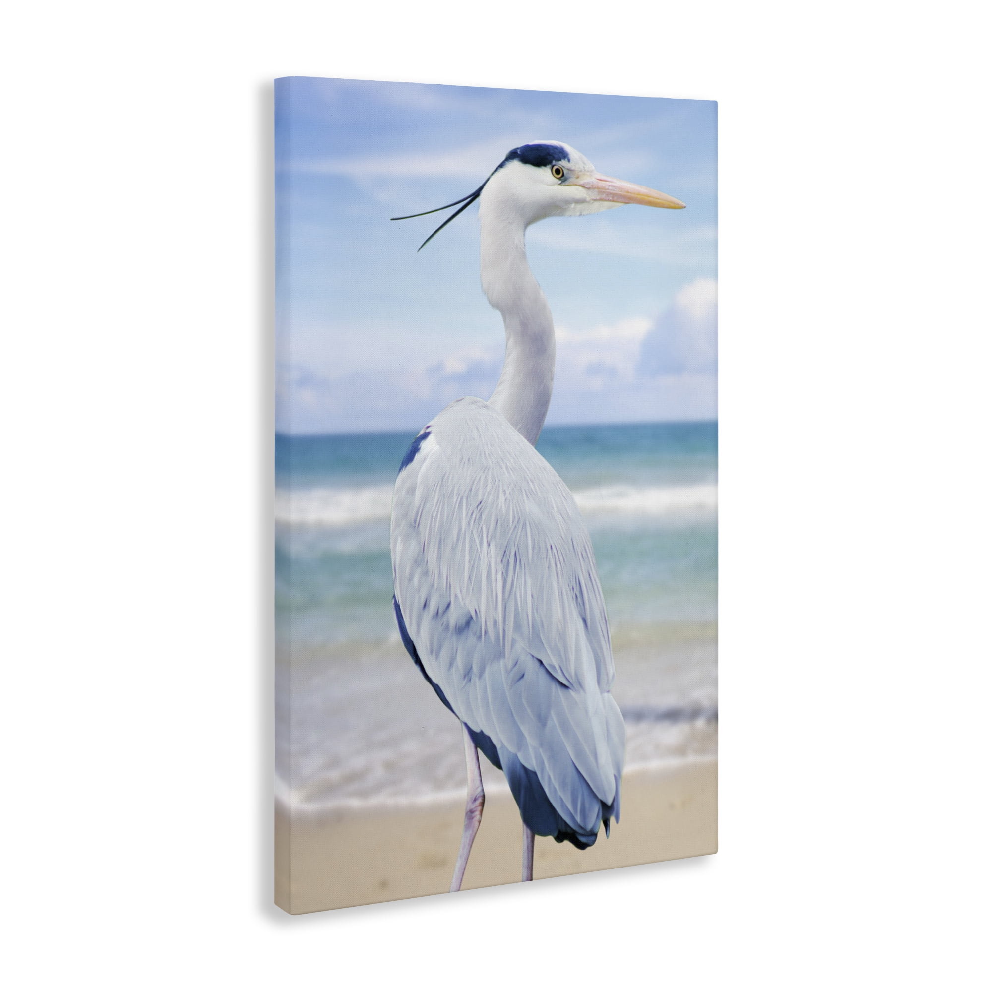 Stupell Industries Vacationing Heron by Seaside Canvas Wall Art, design by Marcus Prime