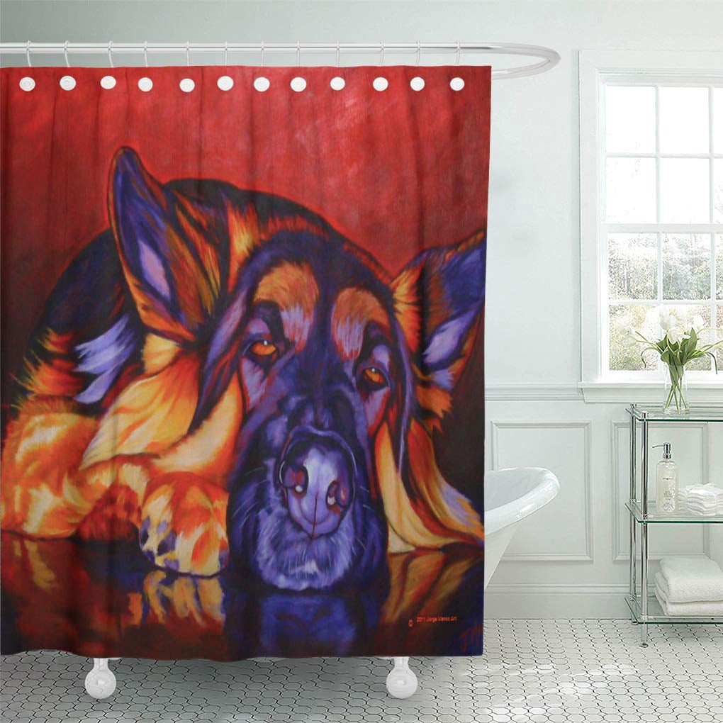 Is It Ok To Bathe A Dog With Cold Water