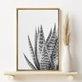 thumbnail image 2 of PixonSign Framed Canvas Print Wall Art Left Side of Zebra Succulent Botanical Flower Photography Modern Art Contemporary Dramatic Black and White for Living Room, Bedroom, Office - 16"x24" Natural, 2 of 5