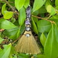 thumbnail image 7 of Natural Crystal Witch Broom Healing Crystal Point Witch Altar Supplies Witchcraft Supplies Witchcraft, 7 of 7