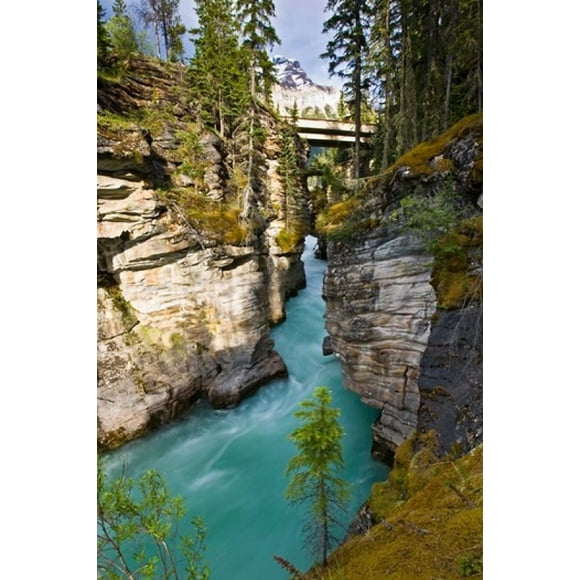 Athabasca Falls, Jasper National Park, Alberta, Canada Poster Print by Larry Ditto (18 x 26)