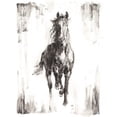 thumbnail image 2 of Harper, Ethan 20x24 White Modern Wood Framed Museum Art Print Titled - Rustic Black Stallion I, 2 of 4
