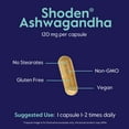 thumbnail image 6 of Bestvite Advanced Ashwagandha 120mg w/ Shoden (120 Vegetarian Capsules) - Clinically Studied Containing Industry leading 35% Withanolide Glycosides - No Stearates - Vegan - Non GMO - Gluten Free, 6 of 7