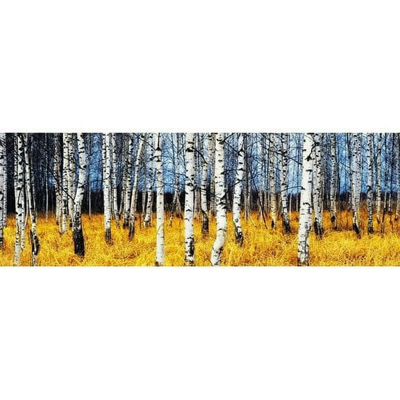 Cortesi Home Simple Moments Tempered Glass Wall Art, 16-Inch by 48-Inch