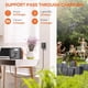 thumbnail image 3 of Estación de Energía Portátil EnginStar 155Wh 150W Generador Solar, 3 of 8
