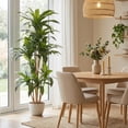 thumbnail image 1 of Planta artificial decorativa Artego Dracaena Palo de Brasil grande 170cm para hogar sala comercio oficina, 1 of 8