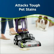 BISSELL Pet Carpet Stain Remover, 62 Fluid Ounce 2893