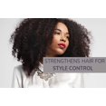 thumbnail image 4 of (2 Pack)Giovanni 2chic Ultra Moist Conditioner, Avocado & Olive Oil for Dry, Damaged Hair, Sulfate Free, No Parabens, 8.5 Oz, 4 of 7