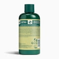 thumbnail image 2 of The Body Shop Olive  Shower Gel 250ml, 2 of 5