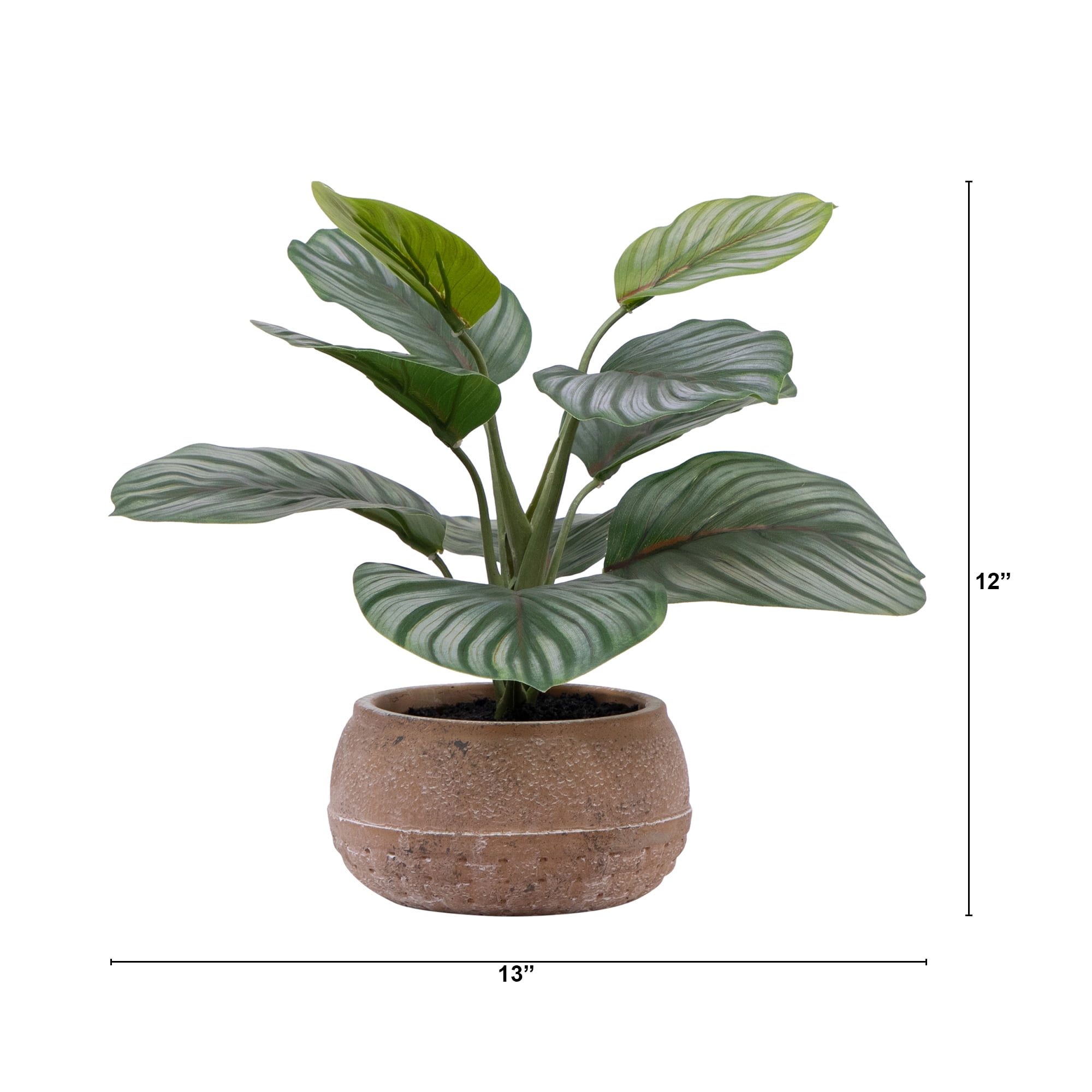 Better Homes & Gardens Artificial Indoor Calathea Plant in Stone Planter