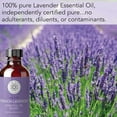 thumbnail image 6 of French Lavender Essential Oil for Aromatherapy, Therapeutic Grade 4 fl oz by Pure Body Naturals, 6 of 6