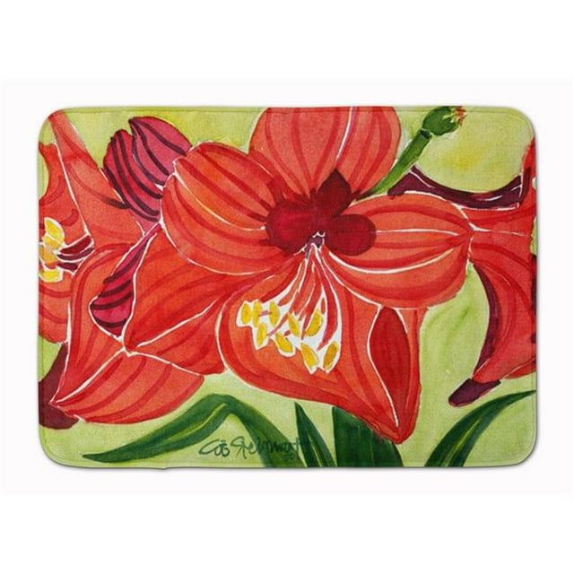 Carolines Treasures 6055RUG Tapis de Mousse à Mémoire Lavable en Machine