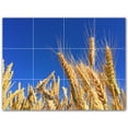 thumbnail image 1 of Picture-Tiles.com: Farm Ceramic Tile Wall Mural WAL500583-43XL. 48"W x 36"H using (12) 12" x 12" Ceramic Tiles-Satin Finish, 1 of 3