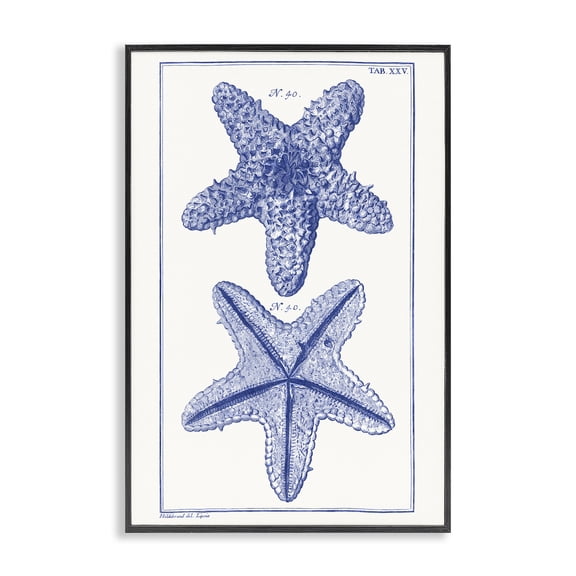 Stupell Industries Blue Starfish Studies Animals & Insects Painting Black Framed Art Print Wall Art, 12 x 18