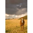 thumbnail image 2 of Millet, Karyn 11x14 Black Ornate Wood Framed with Double Matting Museum Art Print Titled - Out in the Pasture II, 2 of 4