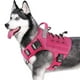 thumbnail image 1 of Arnés táctico para perros WINGOIN para perros extragrandes, color rosa (XXL), 1 of 6
