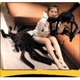 thumbnail image 2 of Giant Black Spider Stuffed Animal Children's Fun Prank Toy Giant Stuffed Spider Stuffed Toy Pillowblack120 cm Deng Xun unisex, 2 of 2