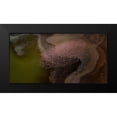 thumbnail image 2 of Chang, Phillip 14x9 Black Modern Framed Museum Art Print Titled - Beautiful flower, 2 of 5