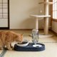 thumbnail image 5 of Juego de comederos y bebederos para mascotas: antideslizante, desmontable y fácil de limpiar. Comedero para gatos y perros con reposición automática de agua para el hogar y los viajes., 5 of 6