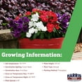 thumbnail image 5 of Harris Seeds - Vinca Tattoo™ American Pie Mix Seeds - Unique Blueberry & Red Varieties - 25 Seeds, 5 of 5