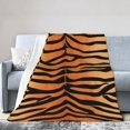 thumbnail image 1 of DouZhe Ultra-Soft Micro Fleece Lightweight Flannel Bed Blanket, Tiger Stripe Print Cozy Warm Throw Blankets, 60"x50", 1 of 7