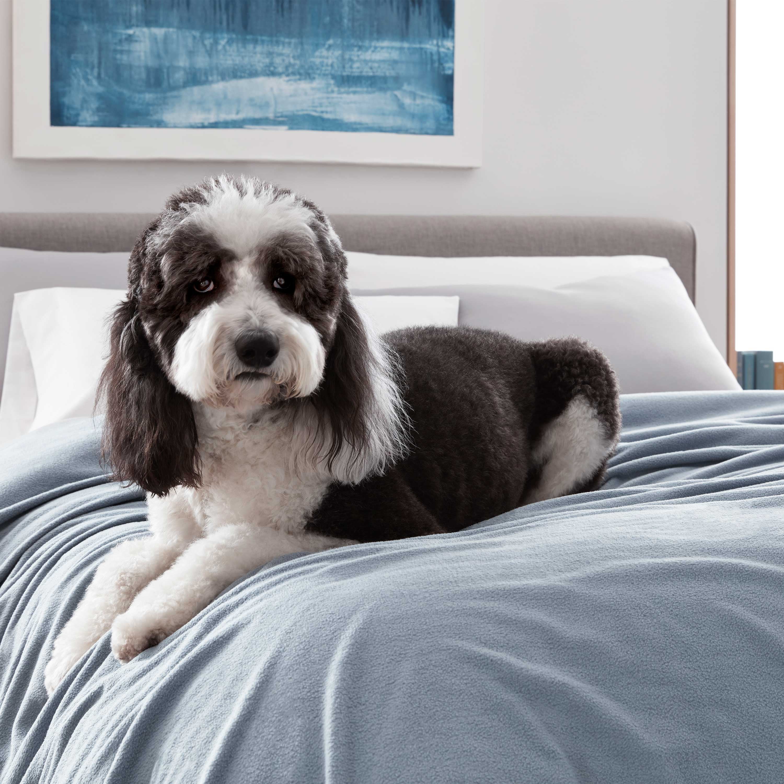 Martex Supersoft Fleece Blanket King Lightweight Warm Cozy All Season Throw 108 x90 Blue Walmart