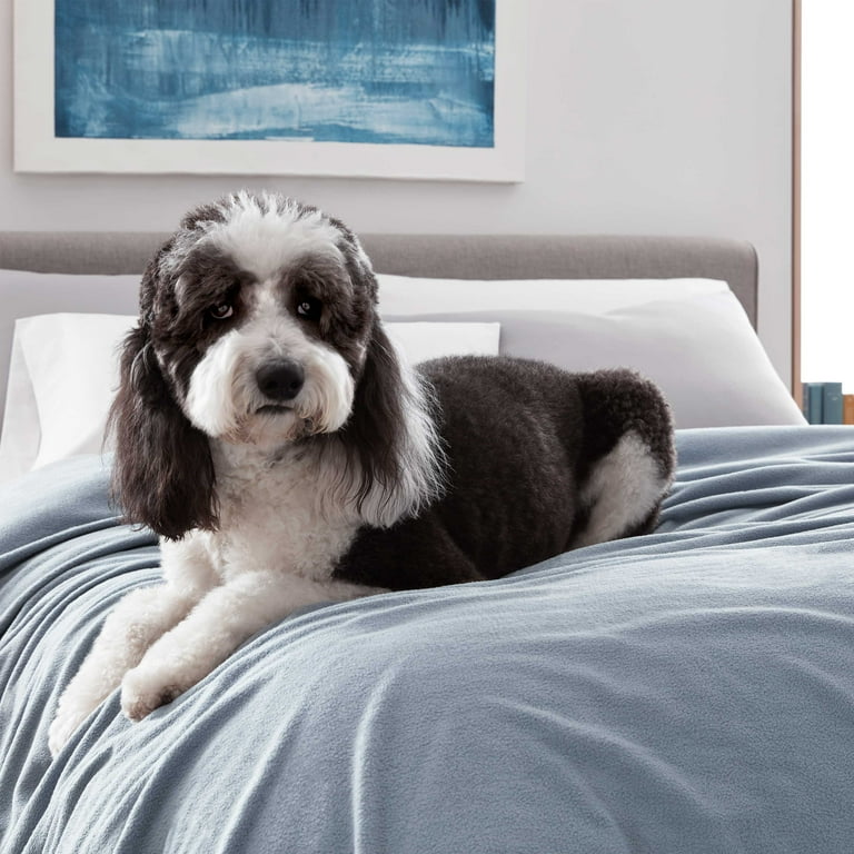 Martex Supersoft Fleece Blanket King Lightweight Warm Cozy All Season Throw 108 x90 Blue Walmart