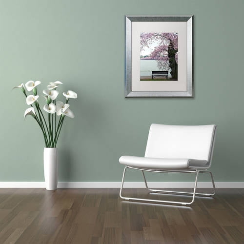 Trademark Fine Art "Tranquility" Canvas Art by CATeyes, White Matte, Silver Frame