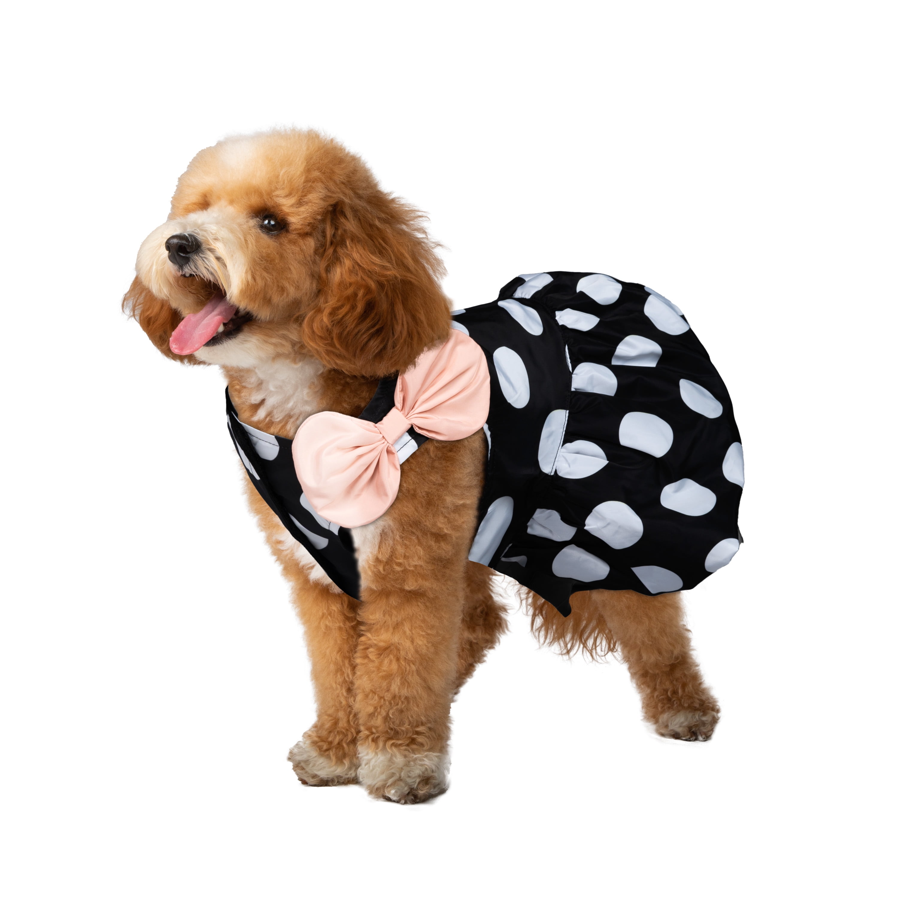 Christian Siriano, Dog Clothes, Polka Dot Dog Dress, Black, M