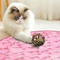 thumbnail image 3 of Interactive Cat Toy Hide and Hunt Cover Easy to Use Durable Wear Resistant Funny Cat Toy Without Balls, 3 of 5