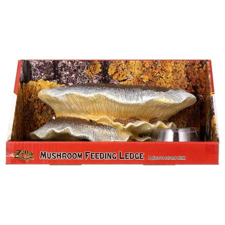 Zilla Vertical Décor Mushroom Feeding Ledge 1 Count