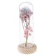 thumbnail image 1 of Florero Claro De La Preservación De cubierta De Cristal Con De De Pino Con Secadas Para La Decoración De De País Azul claro + rosa BLESIY Florero de preservación de flores, 1 of 8