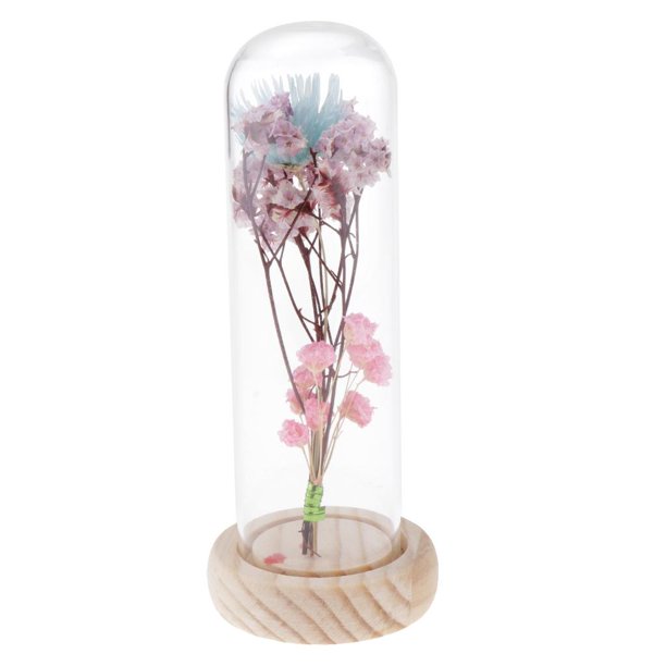 Florero Claro De La Preservación De cubierta De Cristal Con De De Pino Con Secadas Para La Decoración De De País Azul claro + rosa BLESIY Florero de preservación de flores
