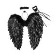 thumbnail image 1 of Alas de ángel con plumas y halo, disfraz de Halloween, alas decorativas Negro 45cmx45cm, 1 of 9