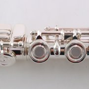 Selmer Model SFL511BEO Intermediate Flute