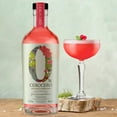 thumbnail image 3 of Hibiscus & Lingonberry Non Alcoholic Gin Alternative, Premium 700 mL by Think, 3 of 8