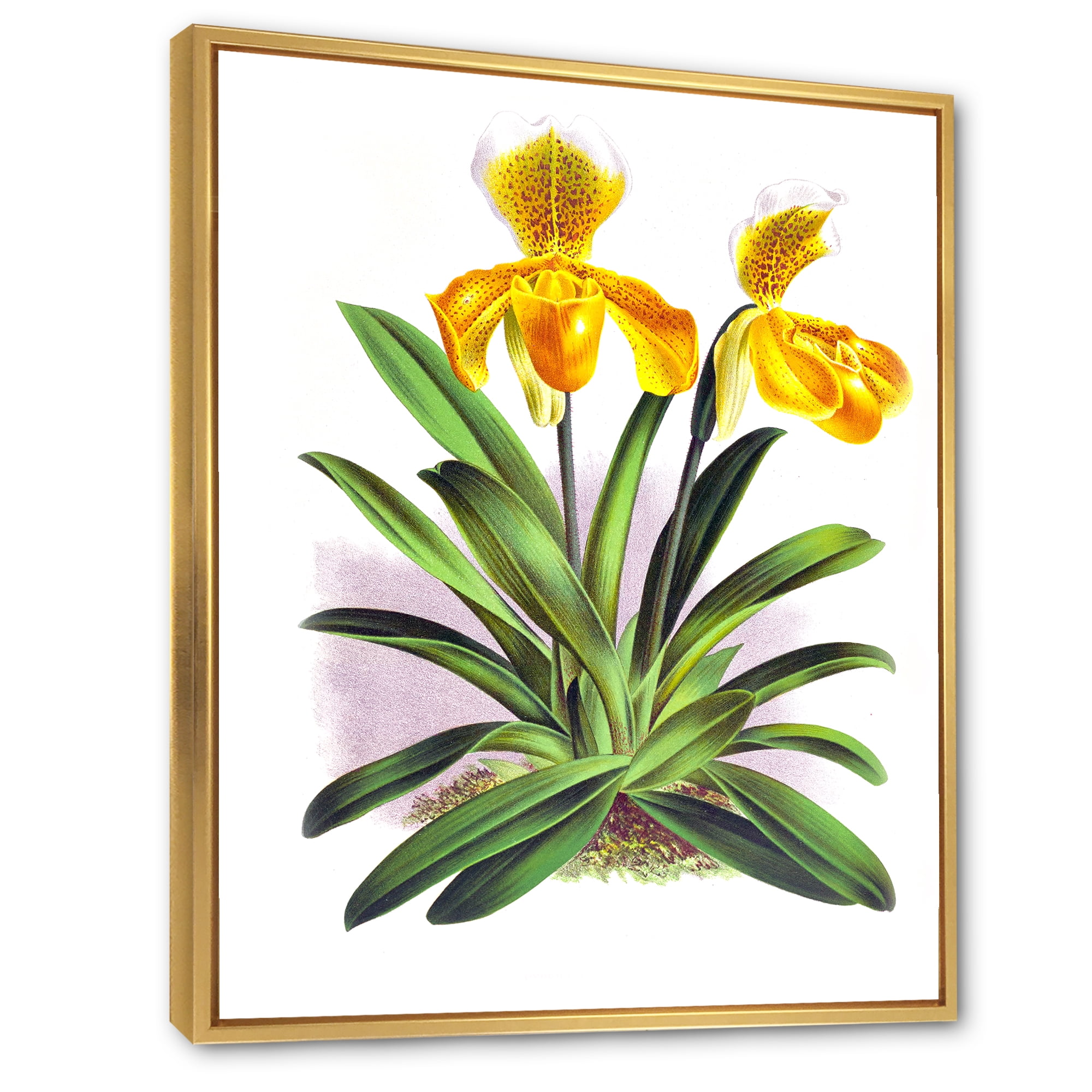 Designart 'Yellow Vintage Orchid' Traditional Framed Canvas Wall Art Print