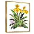 thumbnail image 3 of Designart 'Yellow Vintage Orchid' Traditional Framed Canvas Wall Art Print, 3 of 5