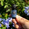 thumbnail image 2 of Edens Garden Massage Therapy Essential Oil Blend- 100% Pure Premium Grade, Undiluted, Natural, Therapeutic, Aromatherapy, The Best for Diffusing, Skin, Humidifiers, Face 10 ml (.33 fl oz), 2 of 9