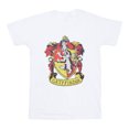 thumbnail image 1 of Harry Potter Boys Gryffindor Cotton T-Shirt, 1 of 7